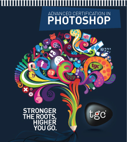 Adv Certification Course in Adobe Photoshop