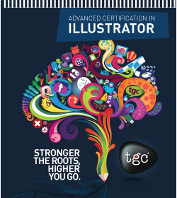 Adv. Illustrator